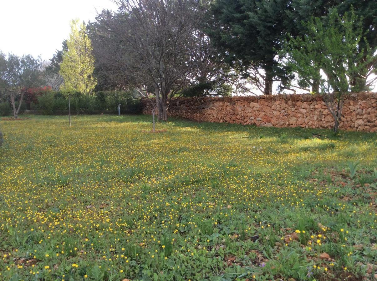 Villa Faro Provence Var Montfort-sur-Argens Esterno foto